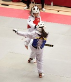 Enlarge photo 169