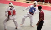 Enlarge photo 175