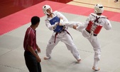 Enlarge photo 181