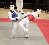 Enlarge photo 185
