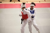 Enlarge photo 196