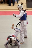 Enlarge photo 210