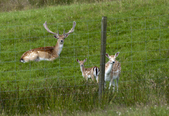 Enlarge photo 1