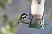 Enlarge photo 4