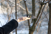 Enlarge photo 9