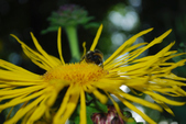 Enlarge photo 25
