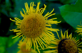 Enlarge photo 26