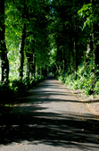 Enlarge photo 28