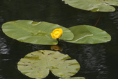 Enlarge photo 1