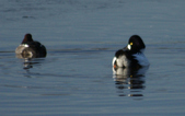 Enlarge photo 49