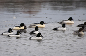 Enlarge photo 28
