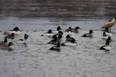 Enlarge photo 27