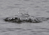 Enlarge photo 46