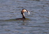 Enlarge photo 30