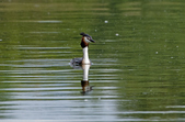 Enlarge photo 40