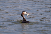 Enlarge photo 31