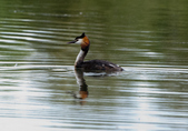 Enlarge photo 41