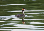 Enlarge photo 33