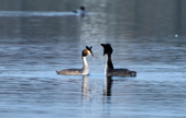 Enlarge photo 49