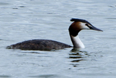 Enlarge photo 48