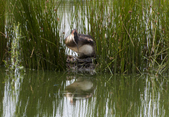 Enlarge photo 47