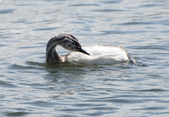 Enlarge photo 17