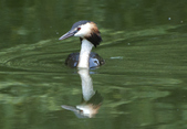 Enlarge photo 35