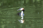 Enlarge photo 36