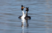 Enlarge photo 56