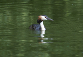 Enlarge photo 37