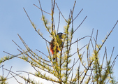 Enlarge photo 22