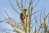 Enlarge photo 23