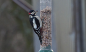 Enlarge photo 14