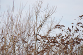 Enlarge photo 1