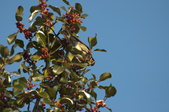 Enlarge photo 28