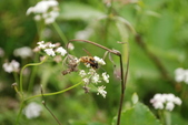 Enlarge photo 52