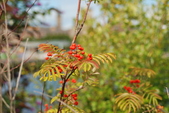 Enlarge photo 48