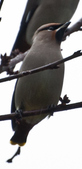 Enlarge photo 139