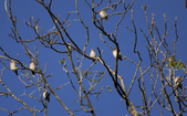 Enlarge photo 27