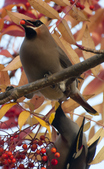Enlarge photo 37