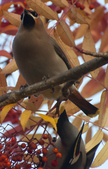 Enlarge photo 38
