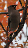 Enlarge photo 124