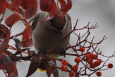 Enlarge photo 127