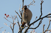 Enlarge photo 1