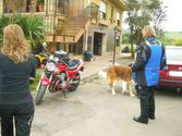 Enlarge photo 6