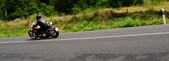 Enlarge photo 95