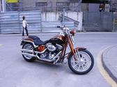 Enlarge photo 156