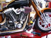 Enlarge photo 175