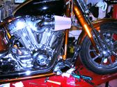 Enlarge photo 174