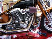 Enlarge photo 173